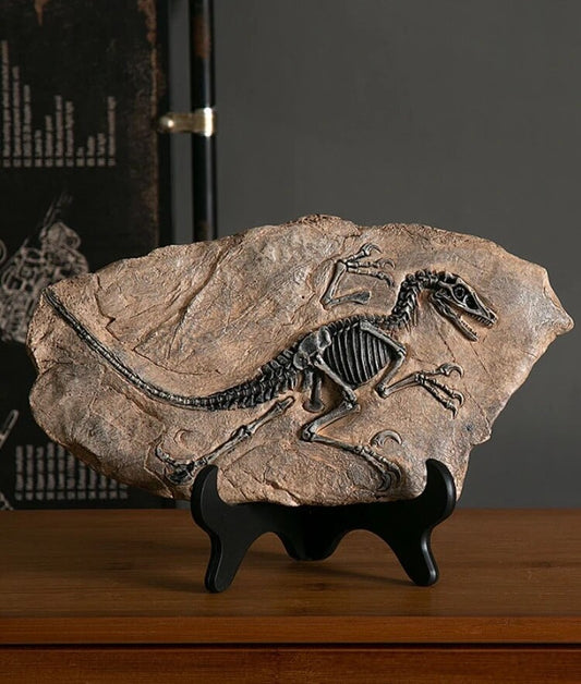 Timeless Charm: Dinosaur Fossil